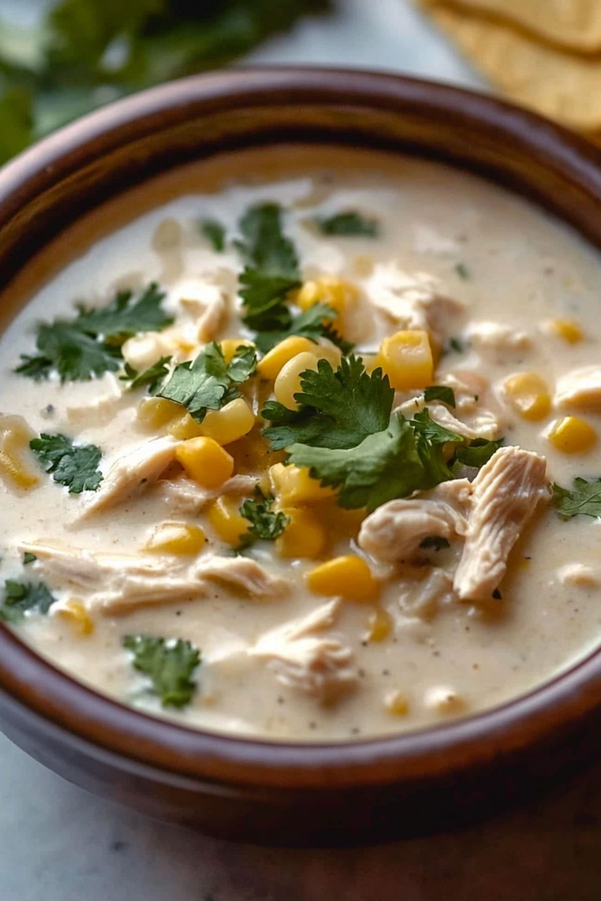 Creamy Crockpot White Chicken Chili