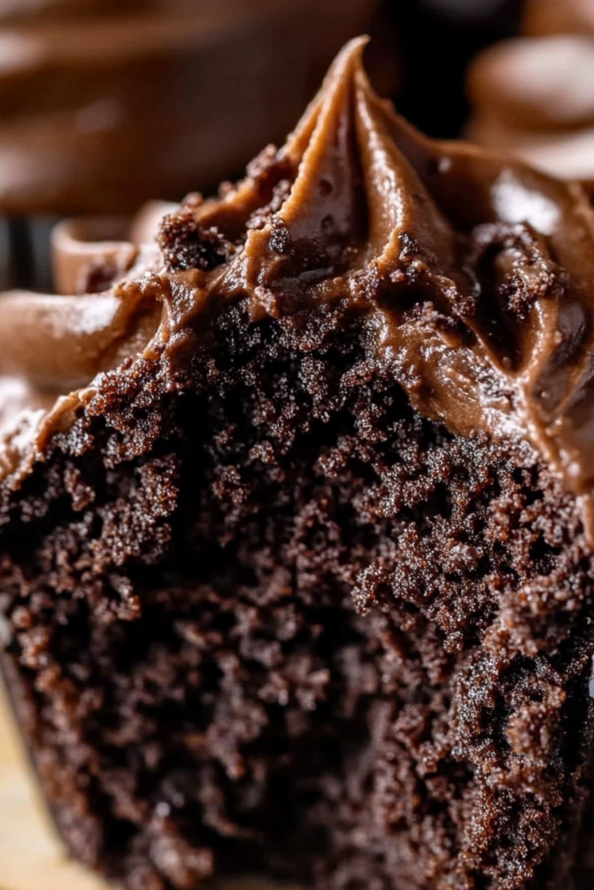 Chocolate Fudge Cupcakes