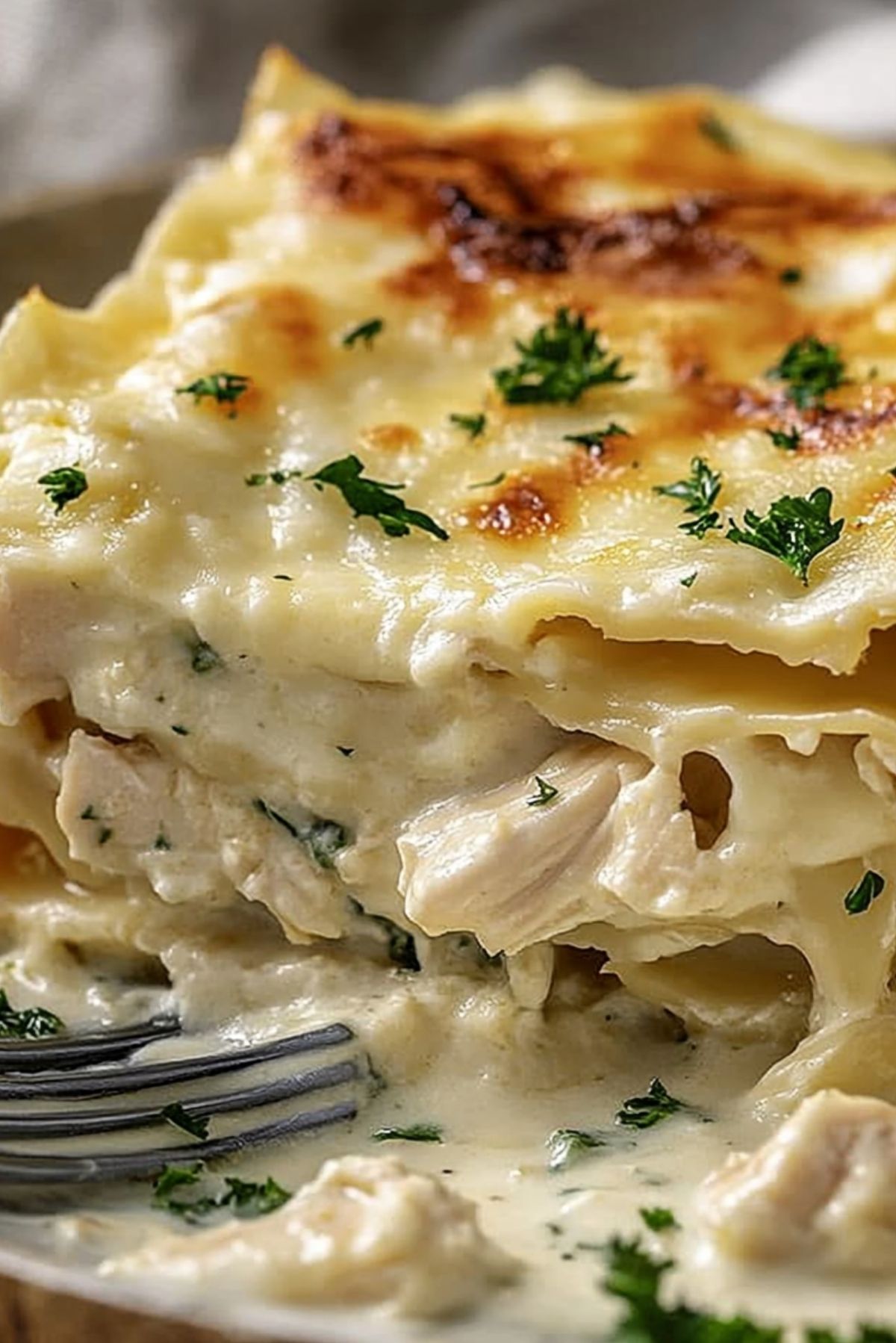 Cheesy Chicken Alfredo Lasagna