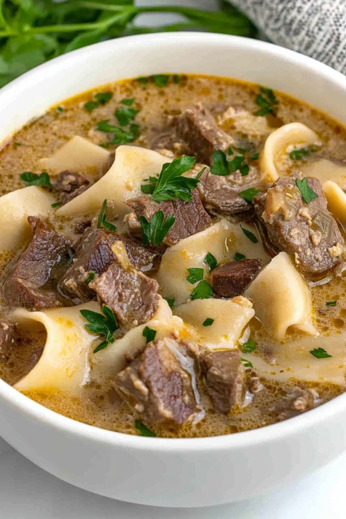 Beef Stroganoff Soup