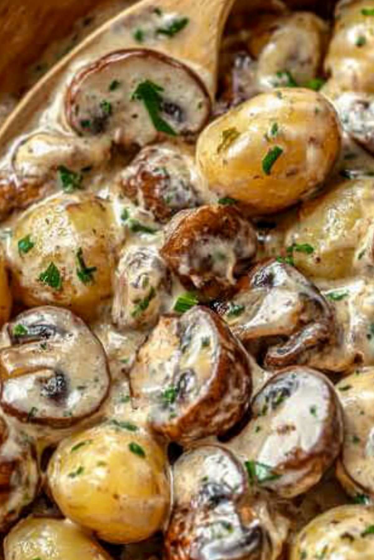 Mushroom Potatoes with Creamy Parmesan and Garlic Sauce – A Comforting, Flavor-Packed Side