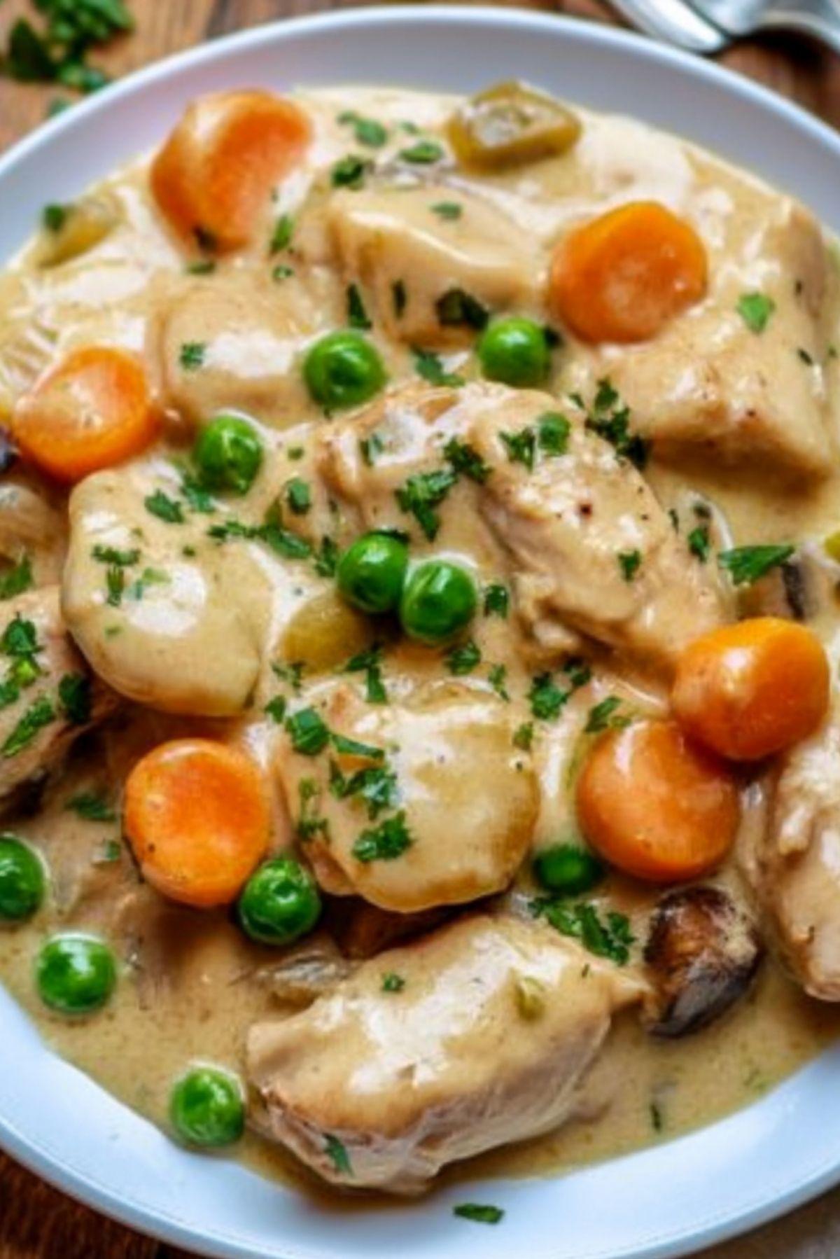 Chicken Fricassee – A classic, creamy comfort food