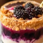 The Blackberry Cobbler Cocktail: A Sweet Sip of Summer