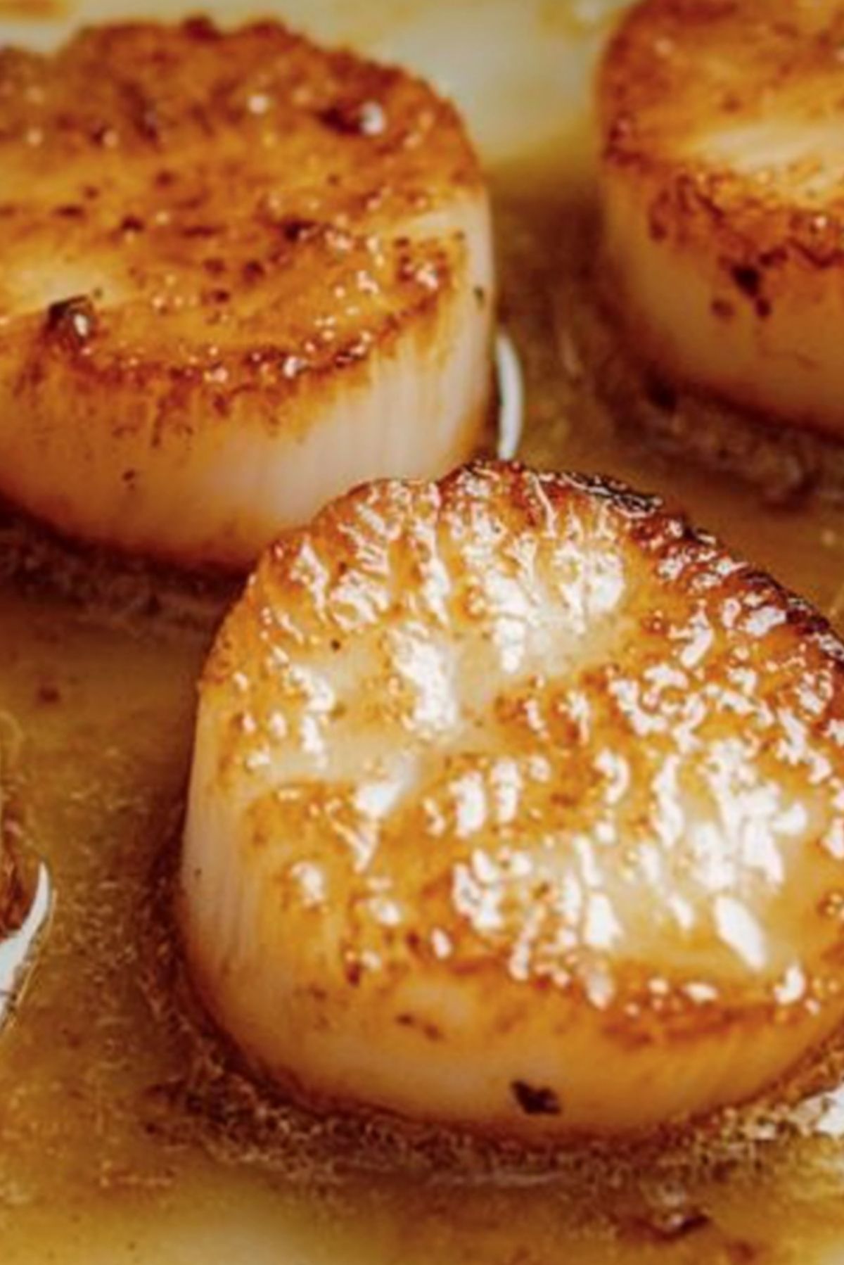 Sear Scallops – The Perfectly Crispy, Tender Delicacy!