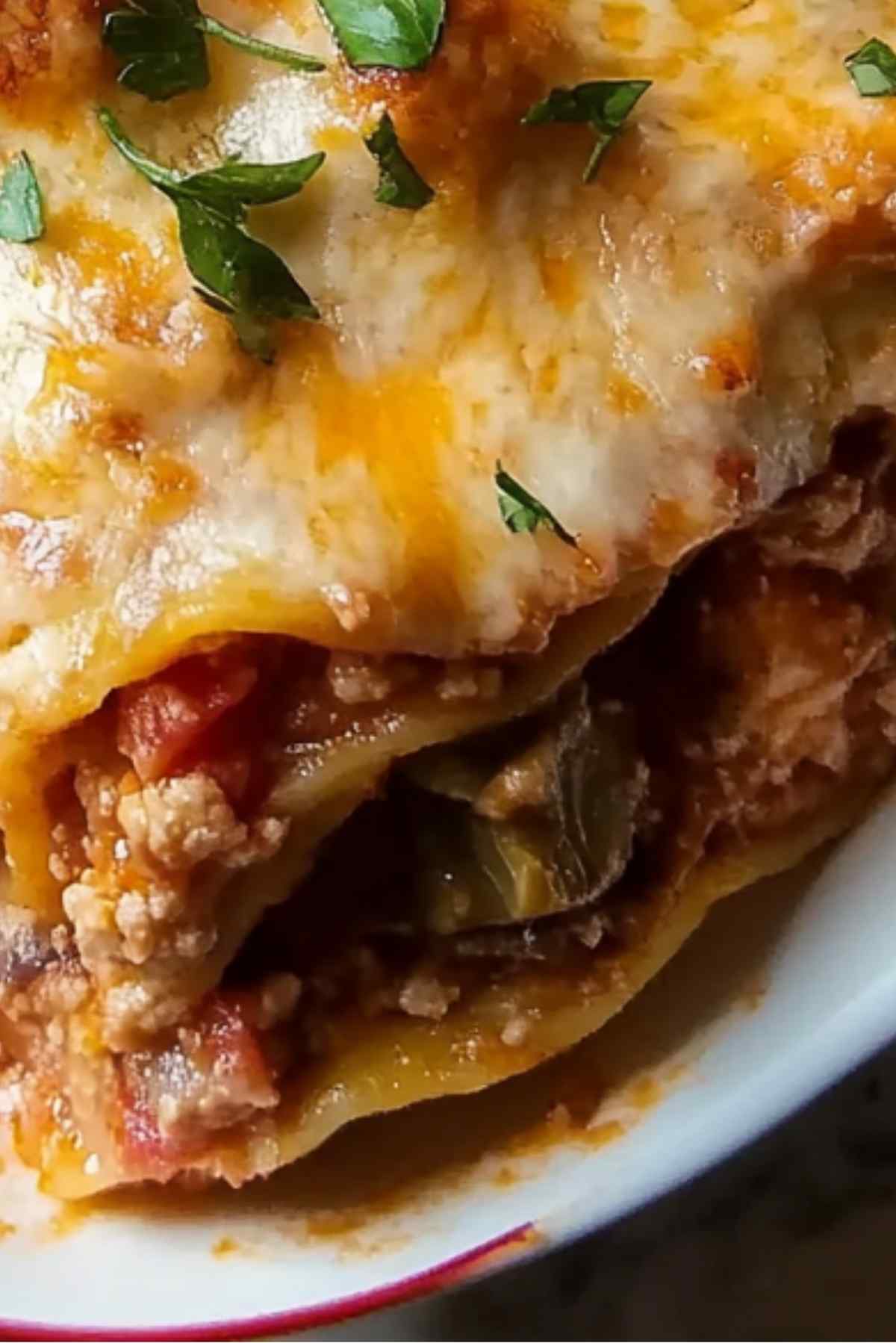 Mexican Lasagna - No Lasagna Noodles!