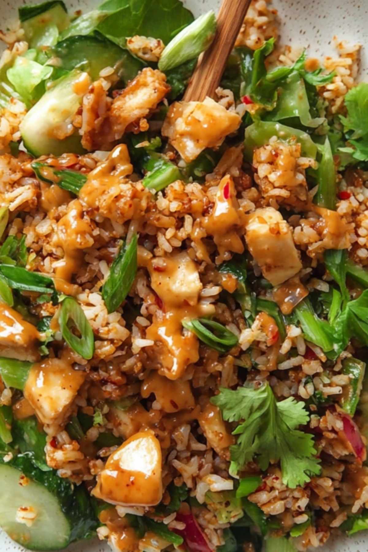 Satay Crispy Rice Salad
