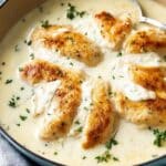 Creamy Ranch Chicken