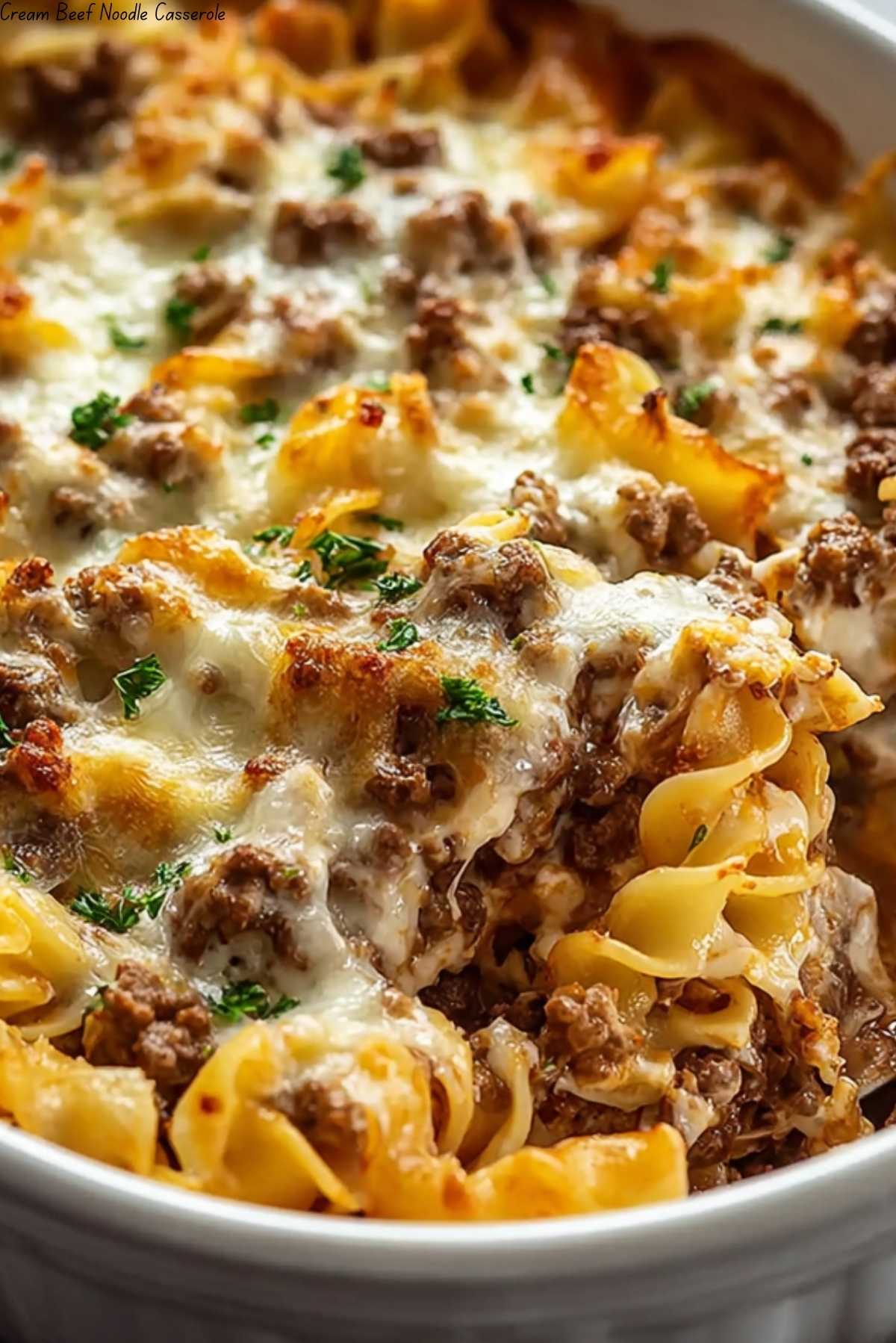 Cream Beef Noodle Casserole